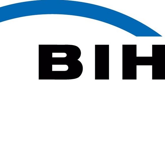 Logo BIH