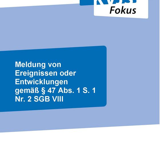 Cover KVJS Fokus Handreichung