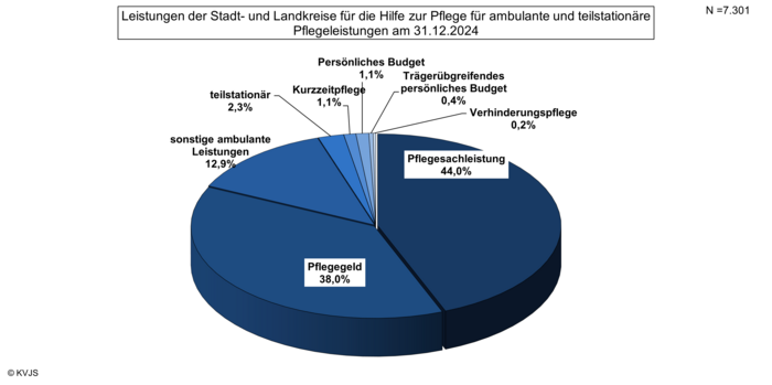Leistungen der Stadt- und Landkreise für die HzP für ambulante und teilstationäre Pflegeleistungen am 31.12.2024